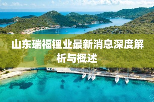 山東瑞福鋰業(yè)最新消息深度解析與概述