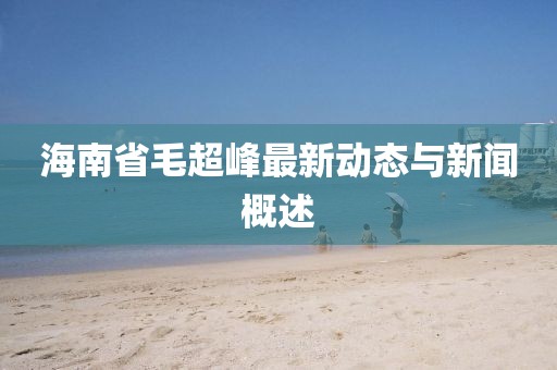 海南省毛超峰最新動態(tài)與新聞概述