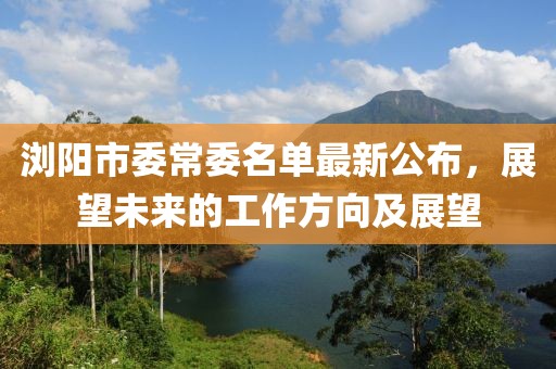 瀏陽市委常委名單最新公布，展望未來的工作方向及展望