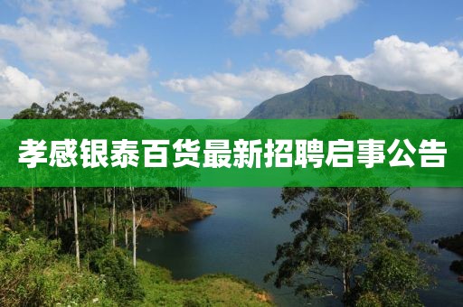 孝感銀泰百貨最新招聘啟事公告