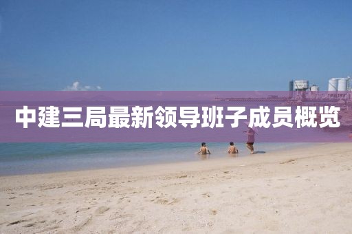 中建三局最新領(lǐng)導(dǎo)班子成員概覽