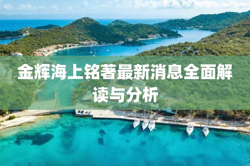 金輝海上銘著最新消息全面解讀與分析