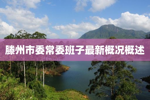 滕州市委常委班子最新概況概述