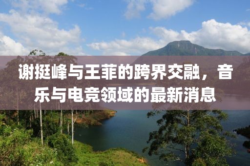 謝挺峰與王菲的跨界交融，音樂與電競領(lǐng)域的最新消息