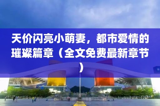 天價閃亮小萌妻，都市愛情的璀璨篇章（全文免費最新章節(jié)）
