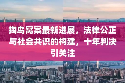 掏鳥窩案最新進(jìn)展，法律公正與社會(huì)共識(shí)的構(gòu)建，十年判決引關(guān)注