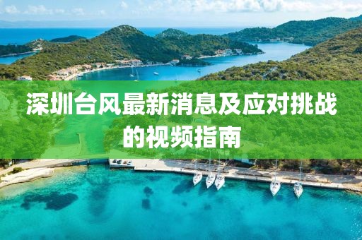 深圳臺(tái)風(fēng)最新消息及應(yīng)對(duì)挑戰(zhàn)的視頻指南