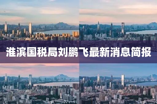 淮濱國(guó)稅局劉鵬飛最新消息簡(jiǎn)報(bào)