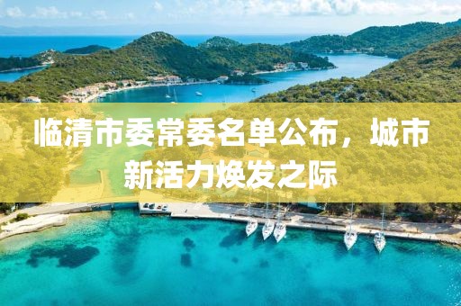 臨清市委常委名單公布，城市新活力煥發(fā)之際