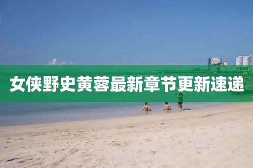 女俠野史黃蓉最新章節(jié)更新速遞