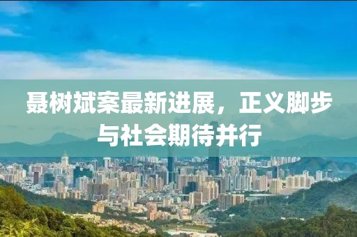 聶樹斌案最新進(jìn)展，正義腳步與社會期待并行