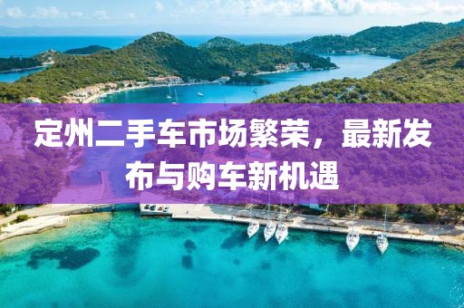 定州二手車市場(chǎng)繁榮，最新發(fā)布與購車新機(jī)遇