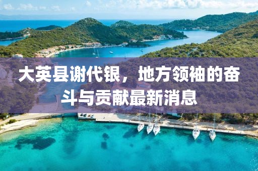 大英縣謝代銀，地方領(lǐng)袖的奮斗與貢獻(xiàn)最新消息