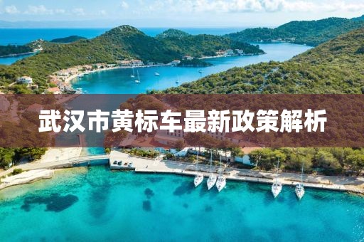 武漢市黃標(biāo)車最新政策解析