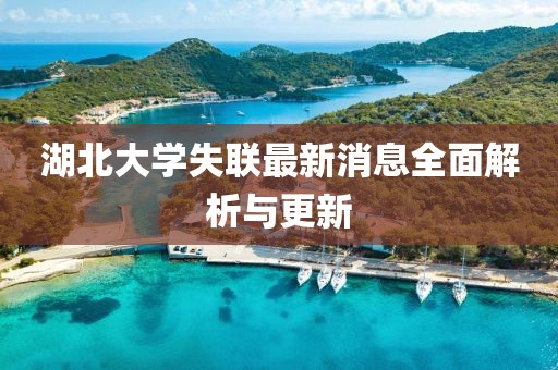 湖北大學(xué)失聯(lián)最新消息全面解析與更新