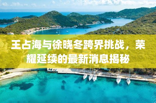 王占海與徐曉冬跨界挑戰(zhàn)，榮耀延續(xù)的最新消息揭秘