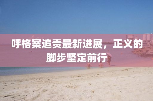 呼格案追責(zé)最新進展，正義的腳步堅定前行