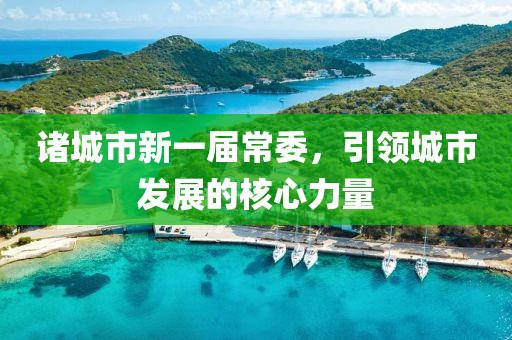 諸城市新一屆常委，引領(lǐng)城市發(fā)展的核心力量