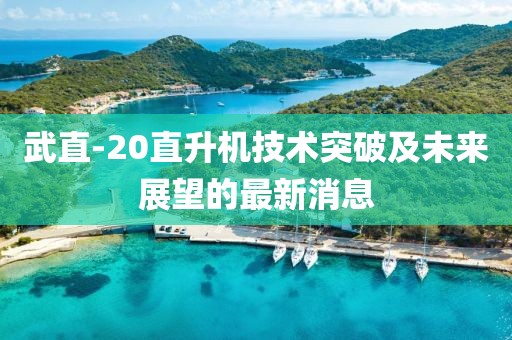武直-20直升機(jī)技術(shù)突破及未來(lái)展望的最新消息