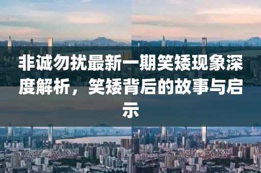 非誠(chéng)勿擾最新一期笑矮現(xiàn)象深度解析，笑矮背后的故事與啟示