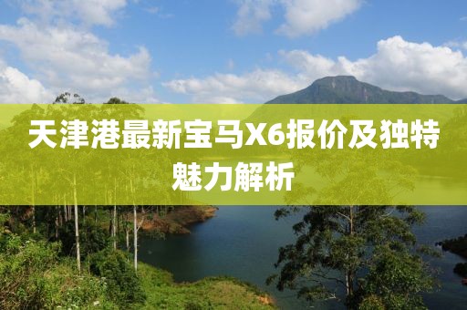 天津港最新寶馬X6報價及獨特魅力解析