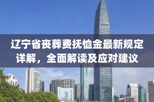 遼寧省喪葬費(fèi)撫恤金最新規(guī)定詳解，全面解讀及應(yīng)對建議