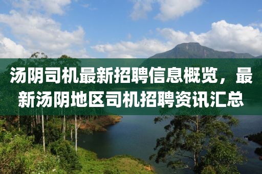 湯陰司機(jī)最新招聘信息概覽，最新湯陰地區(qū)司機(jī)招聘資訊匯總