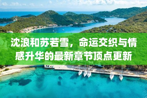 沈浪和蘇若雪，命運交織與情感升華的最新章節(jié)頂點更新