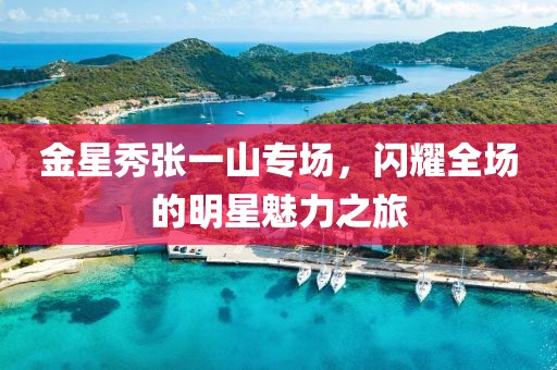 金星秀張一山專場，閃耀全場的明星魅力之旅