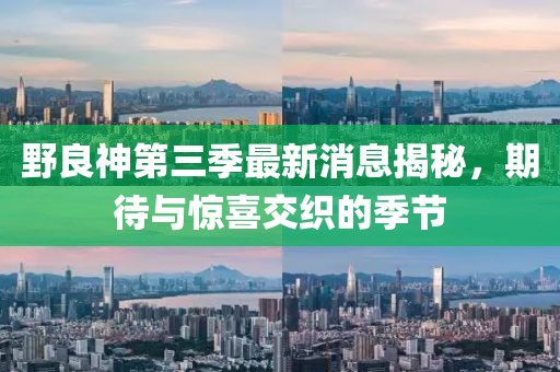 野良神第三季最新消息揭秘，期待與驚喜交織的季節(jié)