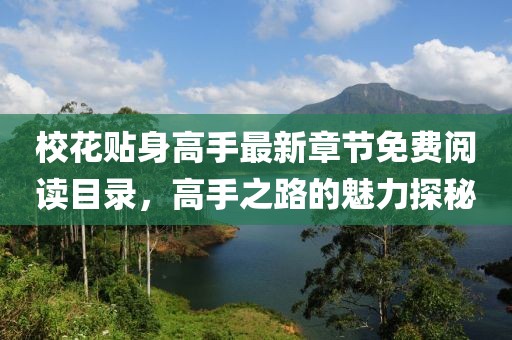 校花貼身高手最新章節(jié)免費(fèi)閱讀目錄，高手之路的魅力探秘