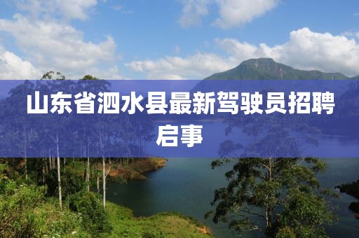 山東省泗水縣最新駕駛員招聘啟事
