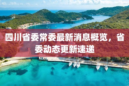 四川省委常委最新消息概覽，省委動態(tài)更新速遞