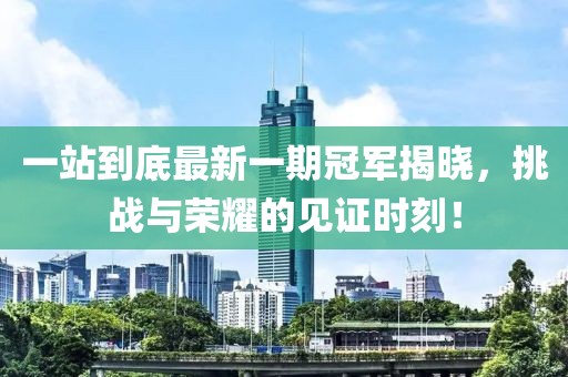一站到底最新一期冠軍揭曉，挑戰(zhàn)與榮耀的見證時(shí)刻！