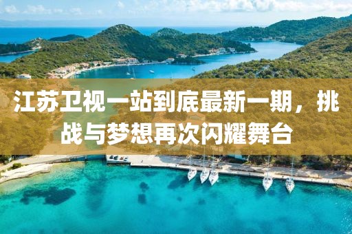 江蘇衛(wèi)視一站到底最新一期，挑戰(zhàn)與夢想再次閃耀舞臺