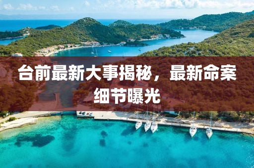 臺前最新大事揭秘，最新命案細(xì)節(jié)曝光
