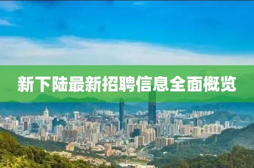 新下陸最新招聘信息全面概覽
