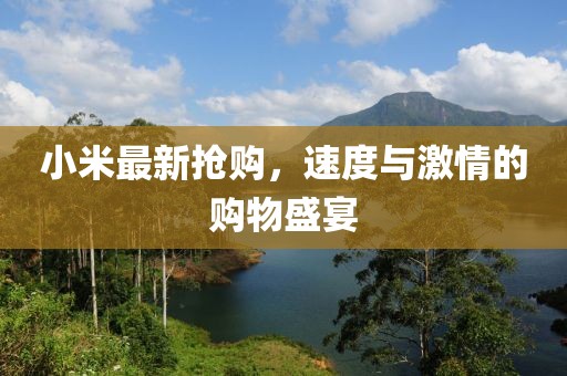 小米最新?lián)屬?，速度與激情的購物盛宴