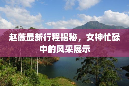 趙薇最新行程揭秘，女神忙碌中的風采展示