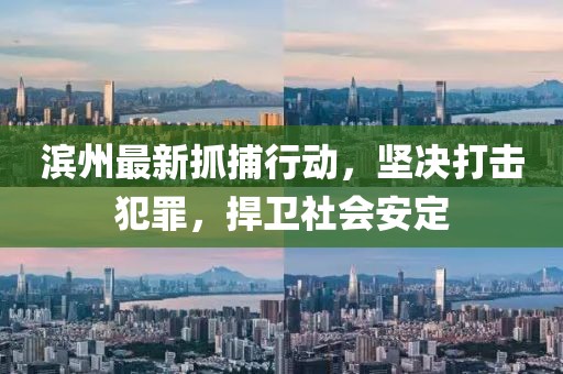 濱州最新抓捕行動，堅決打擊犯罪，捍衛(wèi)社會安定