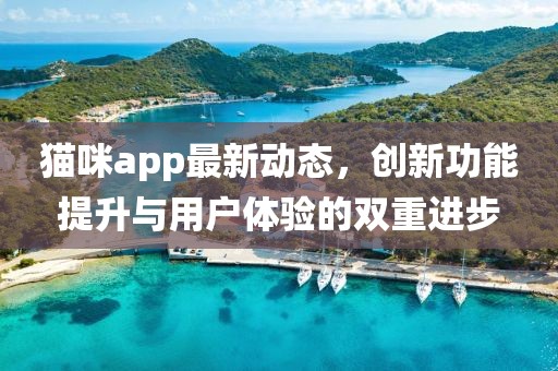 貓咪app最新動態(tài)，創(chuàng)新功能提升與用戶體驗(yàn)的雙重進(jìn)步