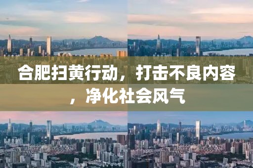 合肥掃黃行動(dòng)，打擊不良內(nèi)容，凈化社會(huì)風(fēng)氣