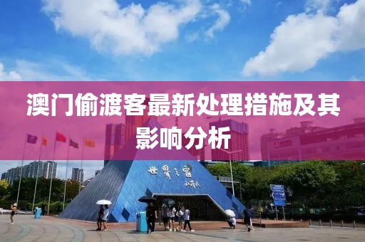 澳門偷渡客最新處理措施及其影響分析