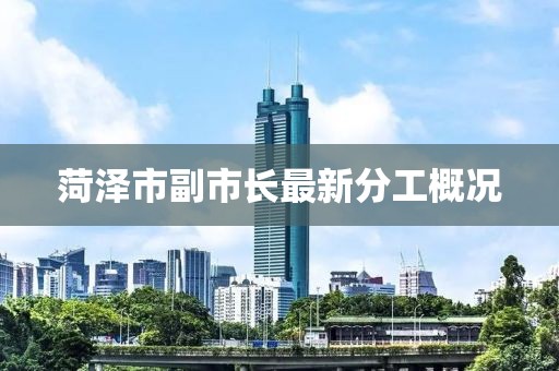 菏澤市副市長最新分工概況