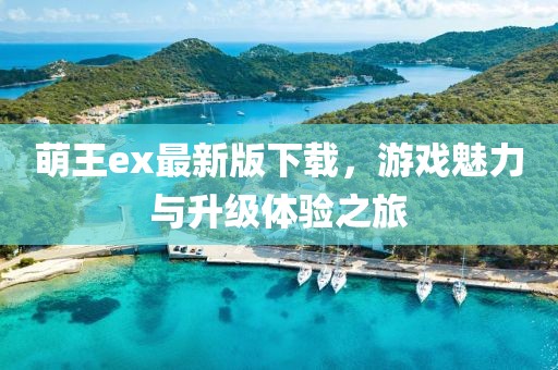 萌王ex最新版下載，游戲魅力與升級(jí)體驗(yàn)之旅
