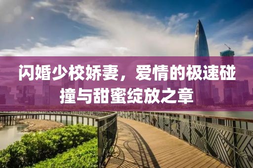閃婚少校嬌妻，愛情的極速碰撞與甜蜜綻放之章