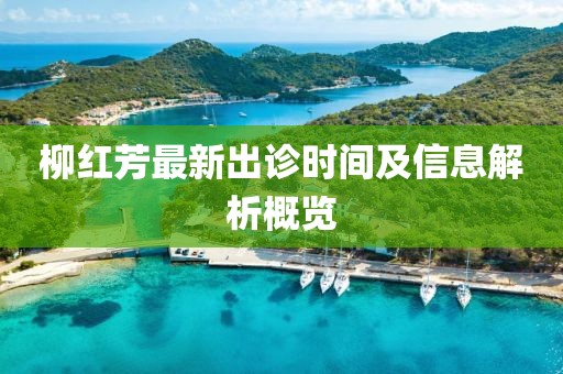 柳紅芳最新出診時間及信息解析概覽