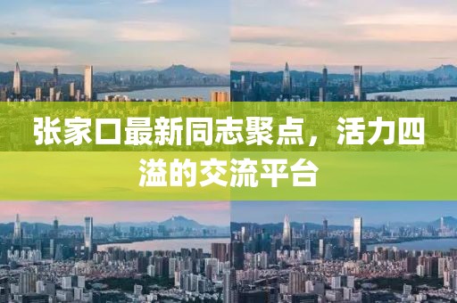 張家口最新同志聚點(diǎn)，活力四溢的交流平臺(tái)