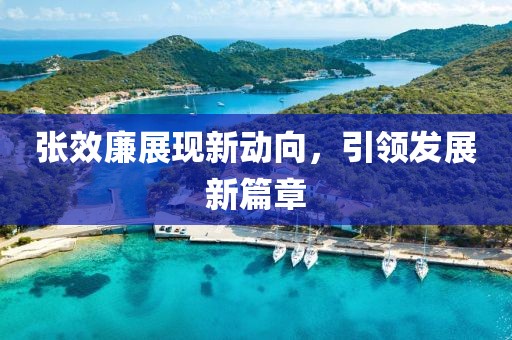 張效廉展現(xiàn)新動(dòng)向，引領(lǐng)發(fā)展新篇章