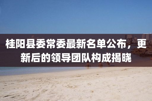 桂陽縣委常委最新名單公布，更新后的領(lǐng)導(dǎo)團隊構(gòu)成揭曉